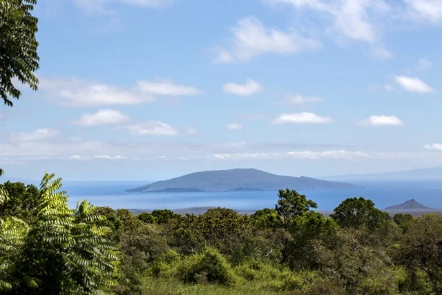 Galápagos Islands