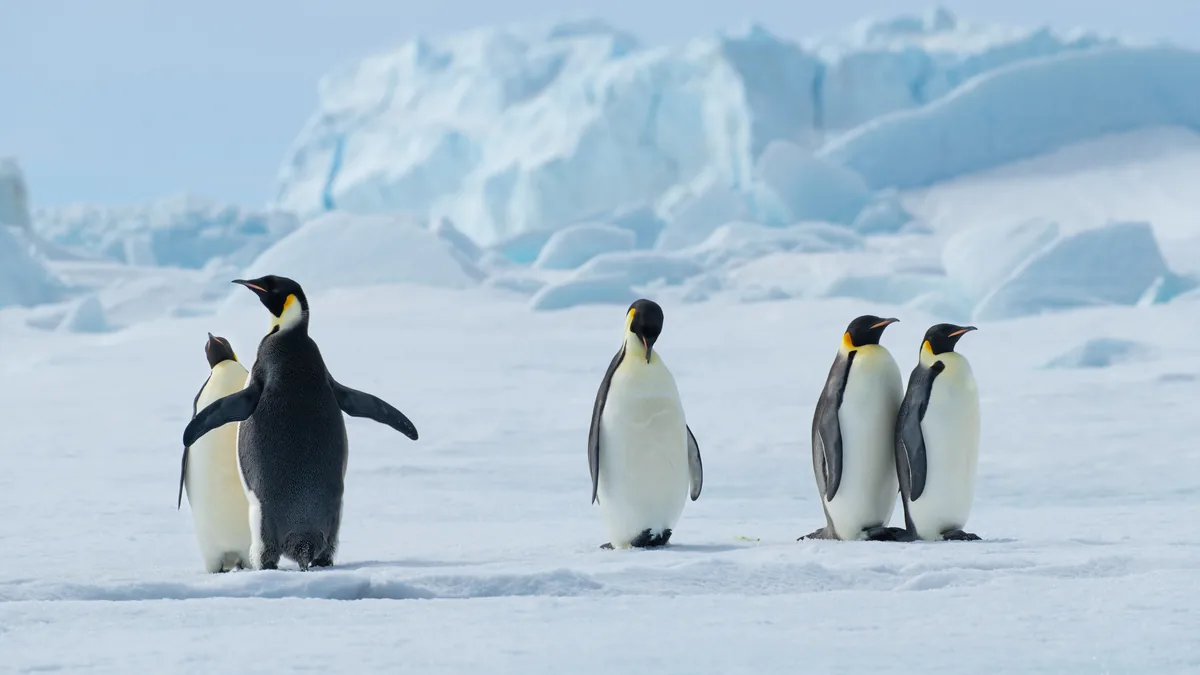 Antarctica expedition cruise — icebergs and polar landscape